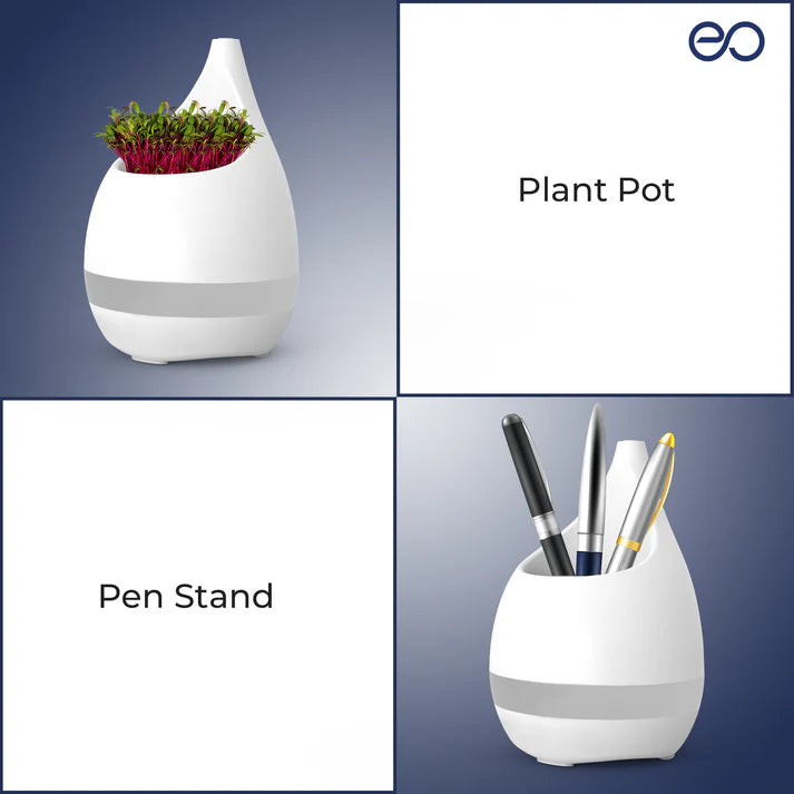 Xech EO Sprout