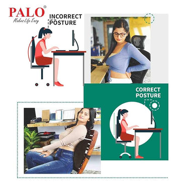 Palo Ergonomic Back Rest PAL0025
