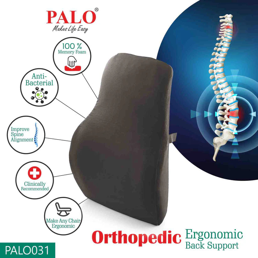 Palo Ergonomic Back Rest PAL0031
