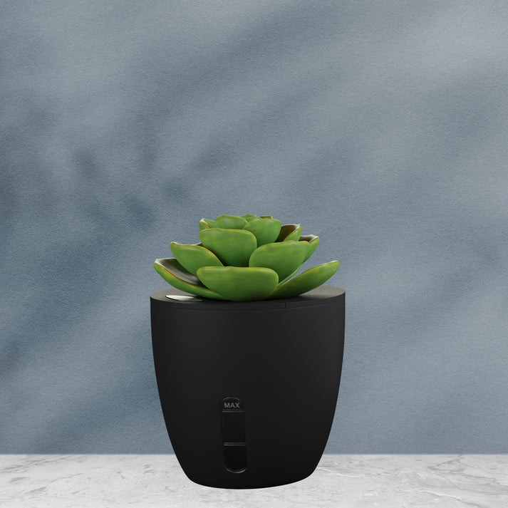 Xech EO Desk Station