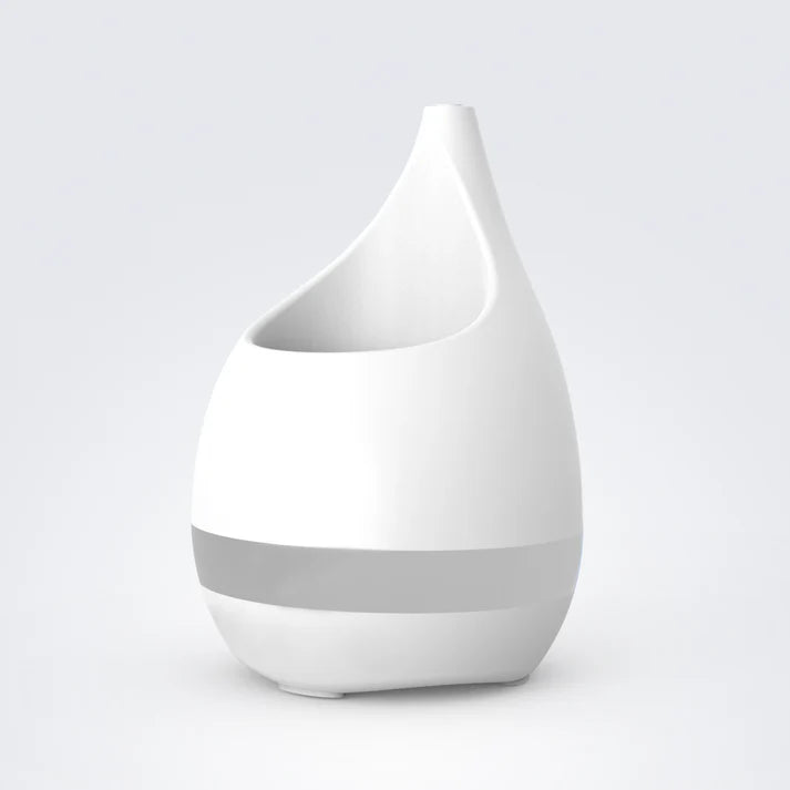 Xech EO Sprout