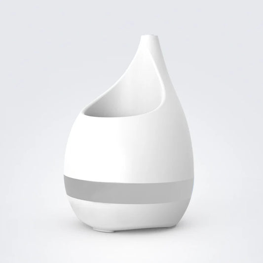 Xech EO Sprout
