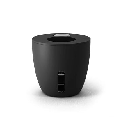 Xech EO Terra