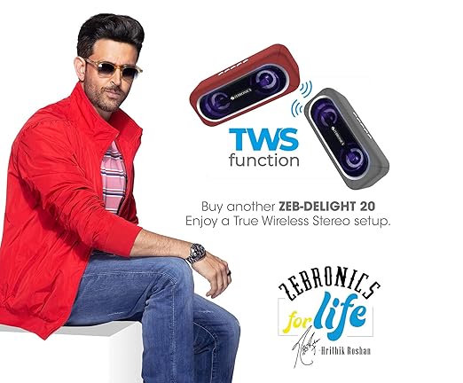 Zebronics Delight 20