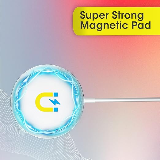 Zebronics Magsecure