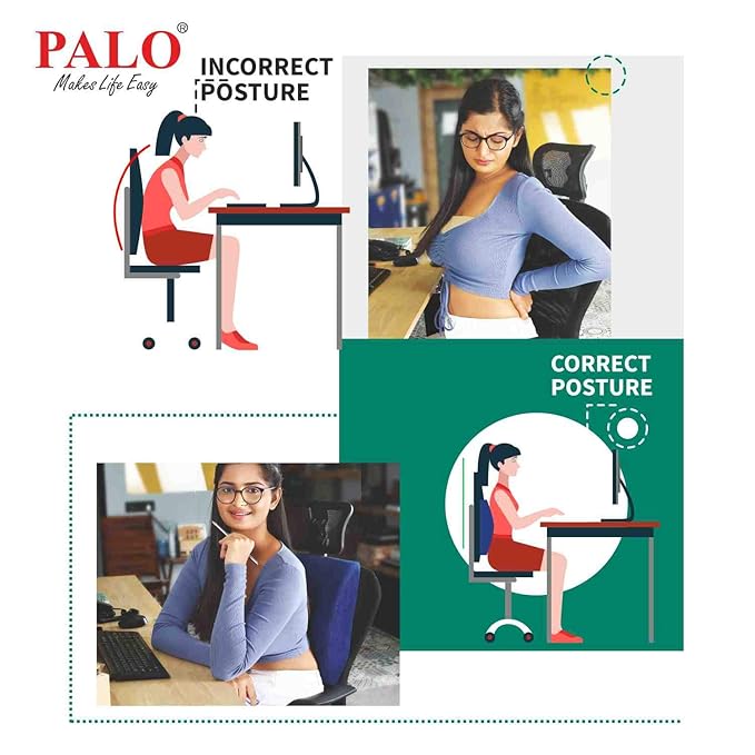 Palo Ergonomic Back Rest PAL0026