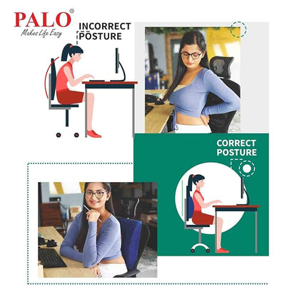 Palo Ergonomic Back Rest PAL0026