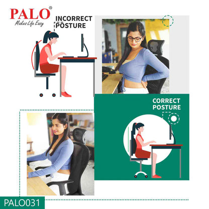 Palo Ergonomic Back Rest PAL0031