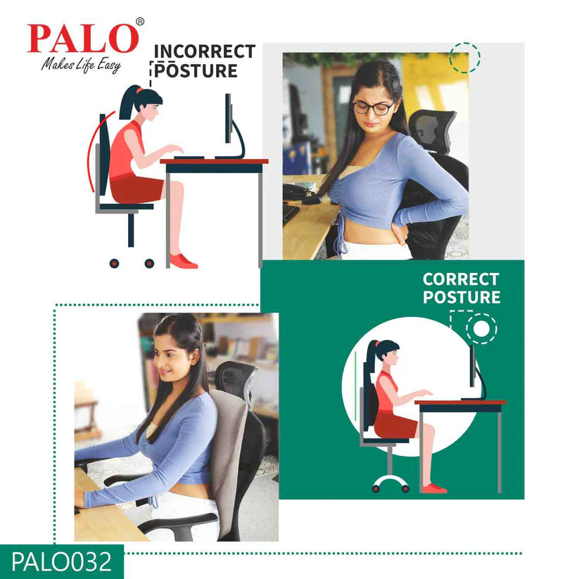 Palo Ergonomic Back Rest PAL0032